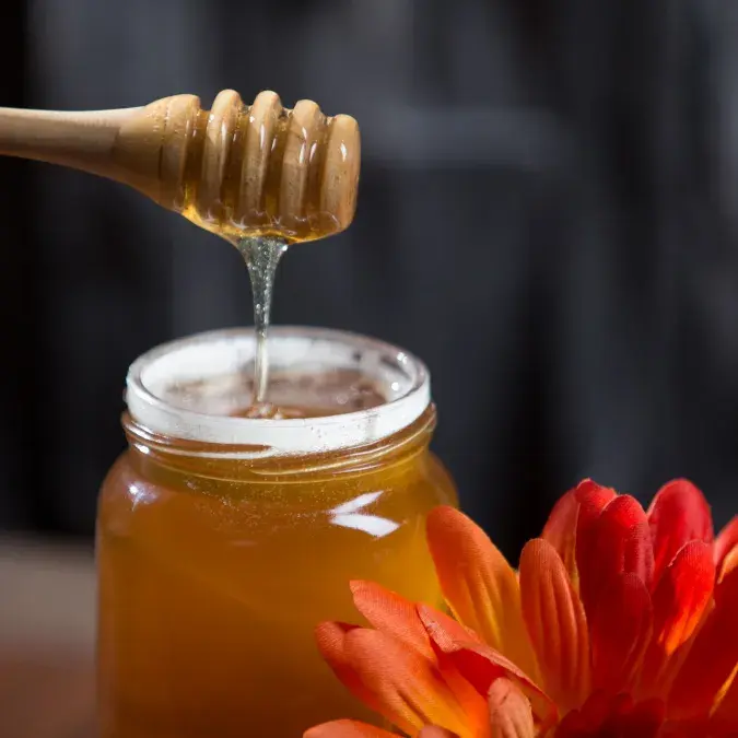 De l'abeille au miel_Nages