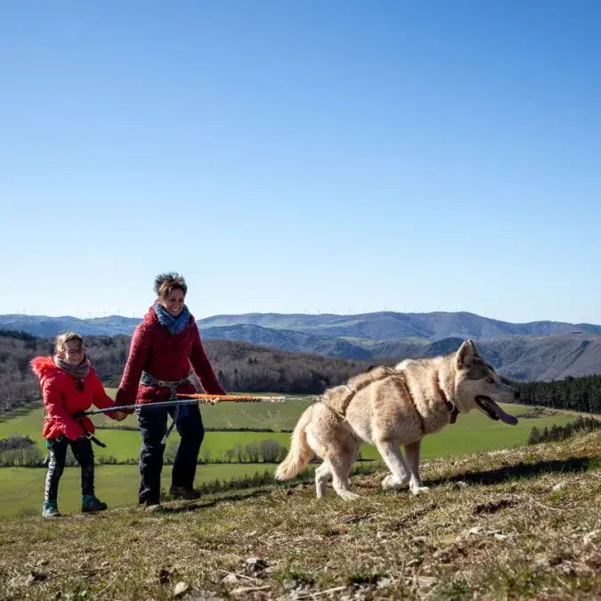 Cani-rando