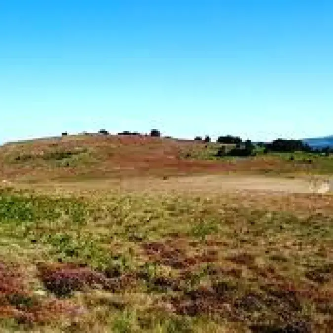 Paysage espinouse