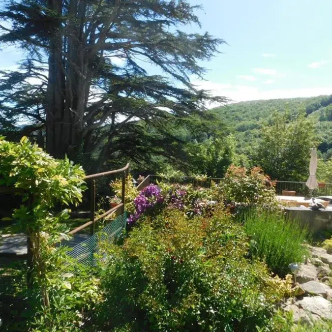 Domaine de Label - Gête du Cèdre_La Salvetat-sur-Agout