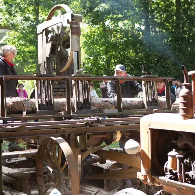 Au rythme du sciage et du façonnage des bois_Nages