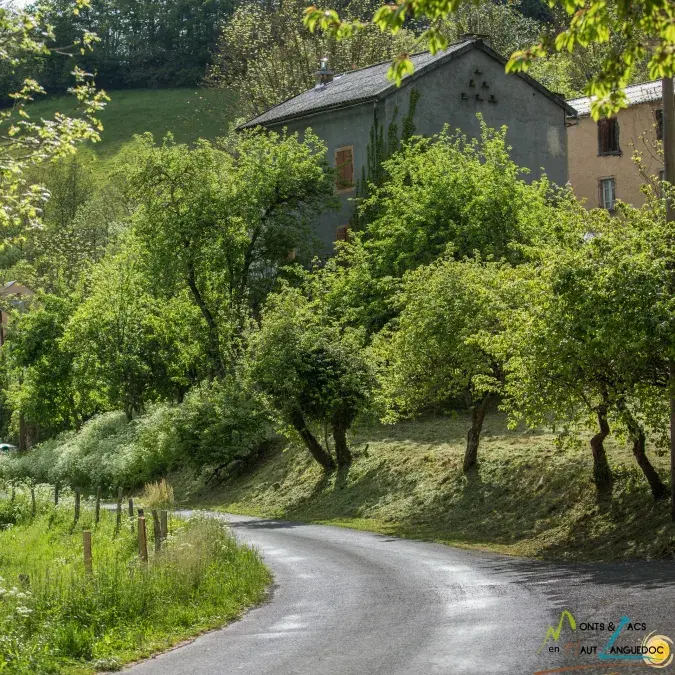 Escroux