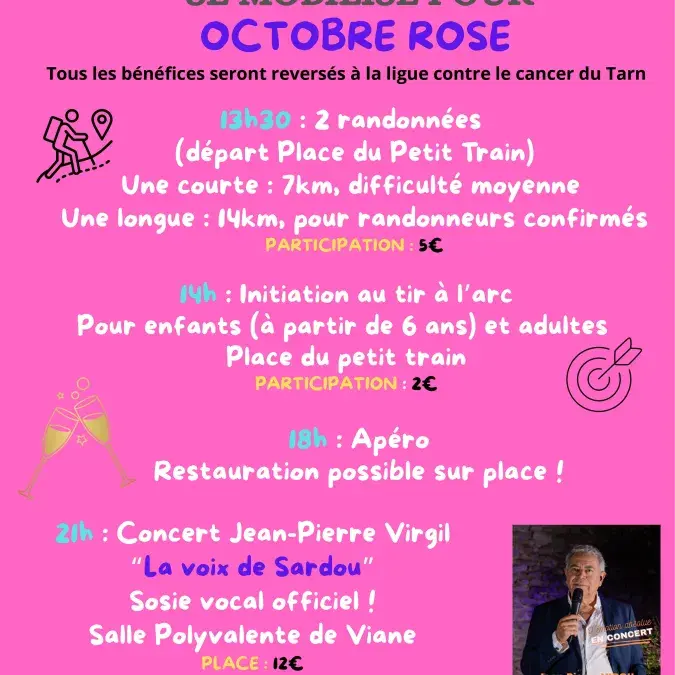 Affiche programme Octobre Rose