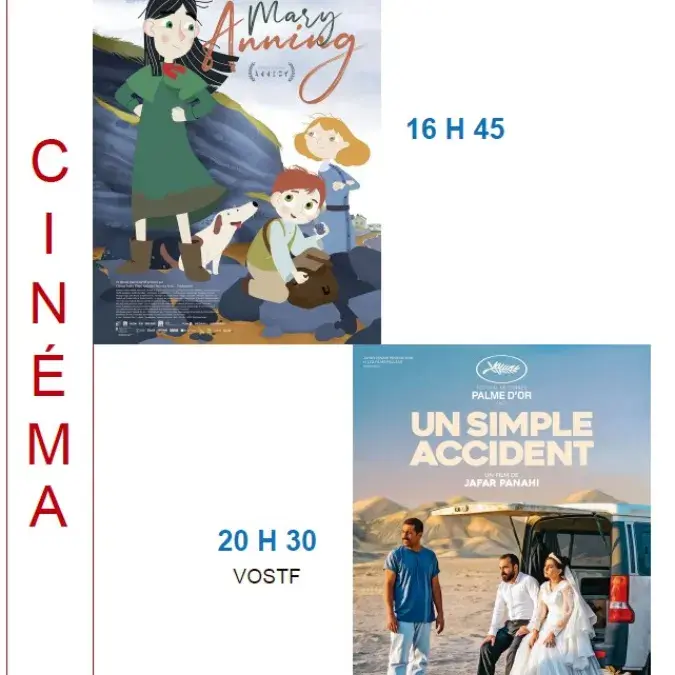 Film : Un simple accident_Viane