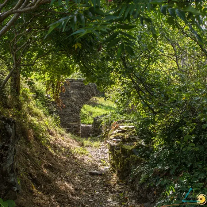 Fontaine du pigeonnier