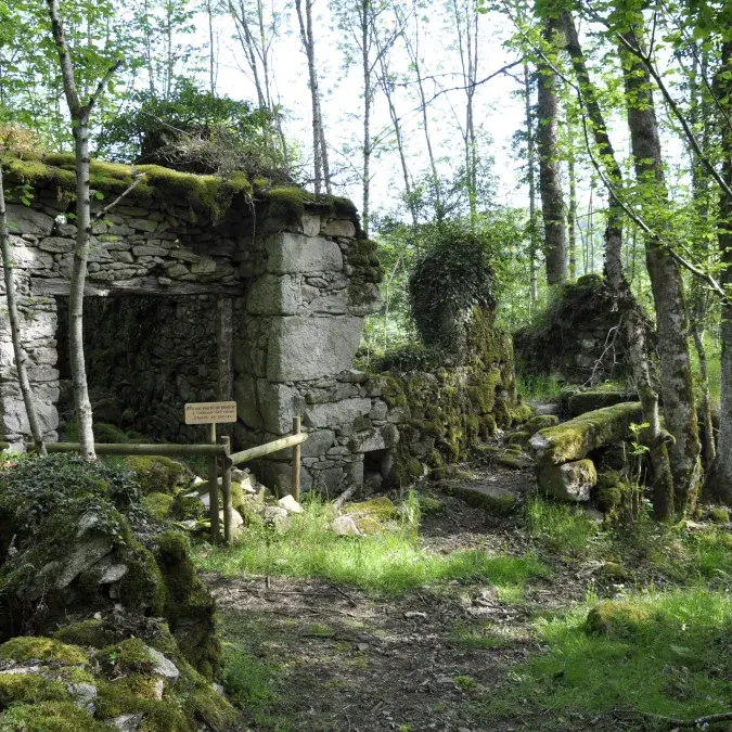 Ruines de Sicardens