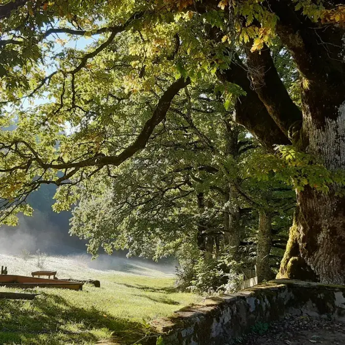 Camping Domaine Lacanal