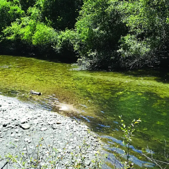 Les méandres de la Vèbre