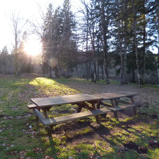 Aire de pique-nique de Saint-Pierre de l'Espinouse_Cambon-et-Salvergues