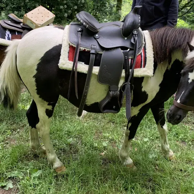 La vie de ranch pour les ados_Le Soulié
