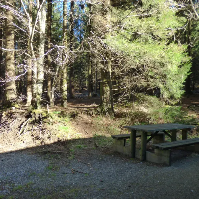 Aire de pique-nique de Picotalen_Lacaune