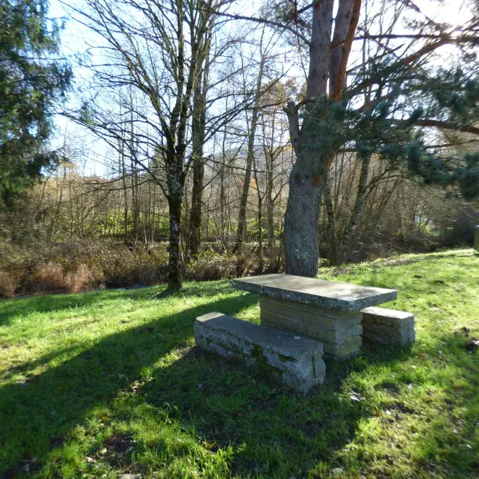 Aire de pique-nique de l'église Saint-Etienne_Murat-sur-Vèbre