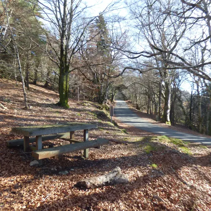 Aire de pique-nique du Pas de la Lauze_Rosis