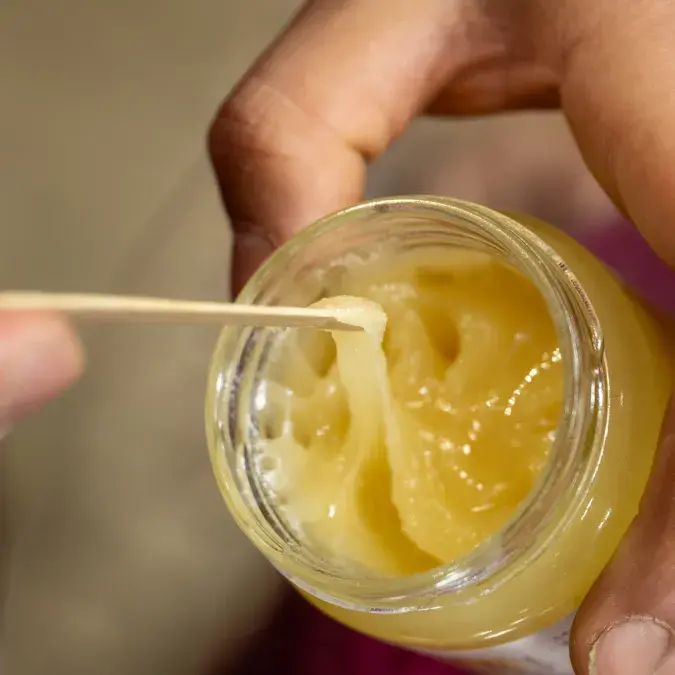 La ruche du Berger des Abeilles_La Salvetat-sur-Agout