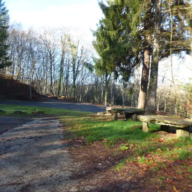Aire de pique-nique du Bois du Devès_La Salvetat-sur-Agout