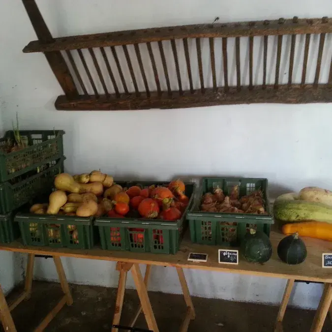 GAEC Moulin de Louat_Murat-sur-Vèbre