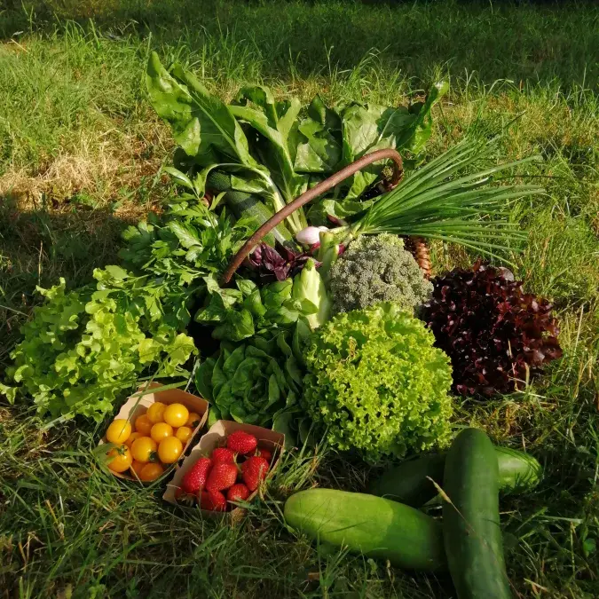 L'îlet aux légumes_Murat-sur-Vèbre