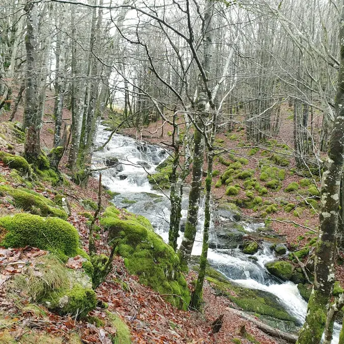 La ferme du Peyregas_Murat-sur-Vèbre