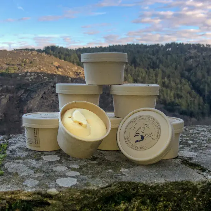 David Bousquet_Rosis