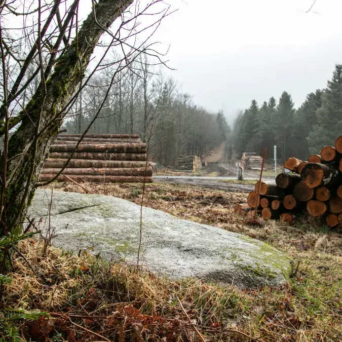Statue-menhir du col de la Frajure_Nages