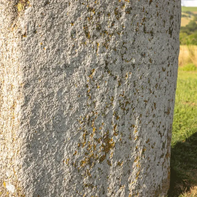 Détail de la surface gravée de la Pierre Plantée