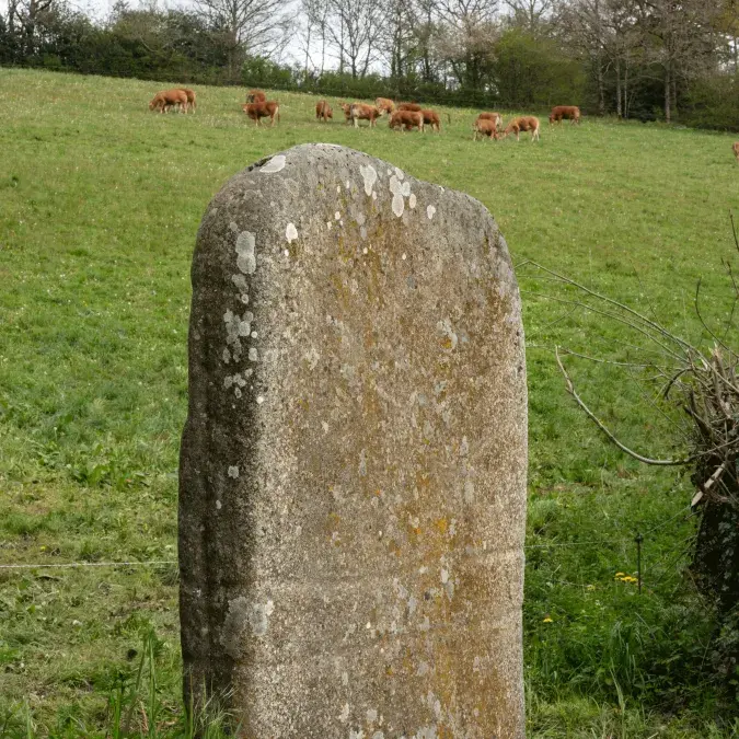 Statue-menhir de Rieuviel 1 dans son environnement champêtre