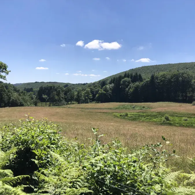 Paysage le long du parcours