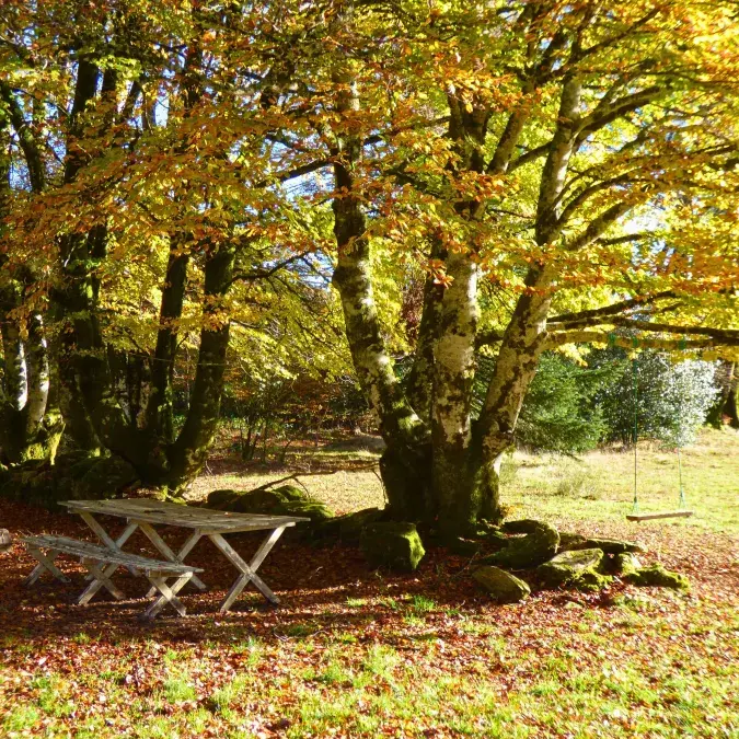 Aire de pique-nique de Campblanc_Fraisse-sur-Agout