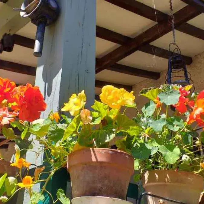 Le Clos Fleuri à Lamontélarié