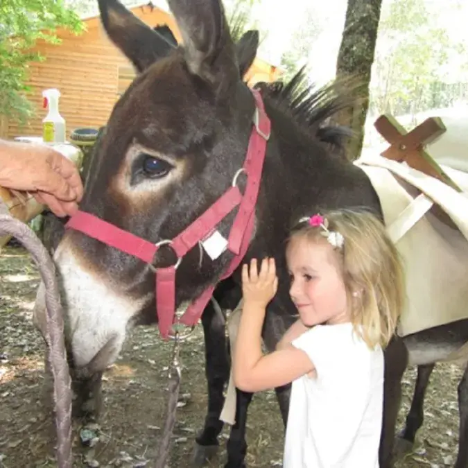 Balade à dos d'âne