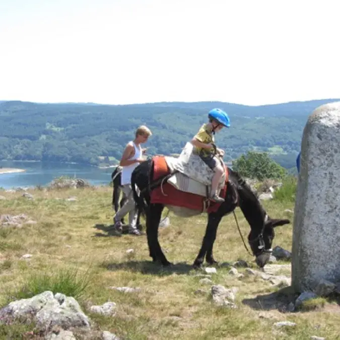 Balade à dos d'âne