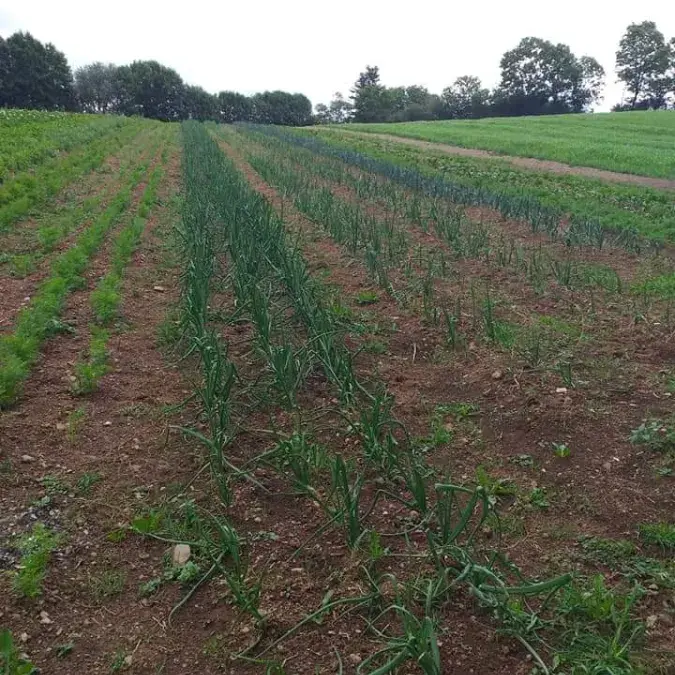 GAEC du Champs de la Fontaine
