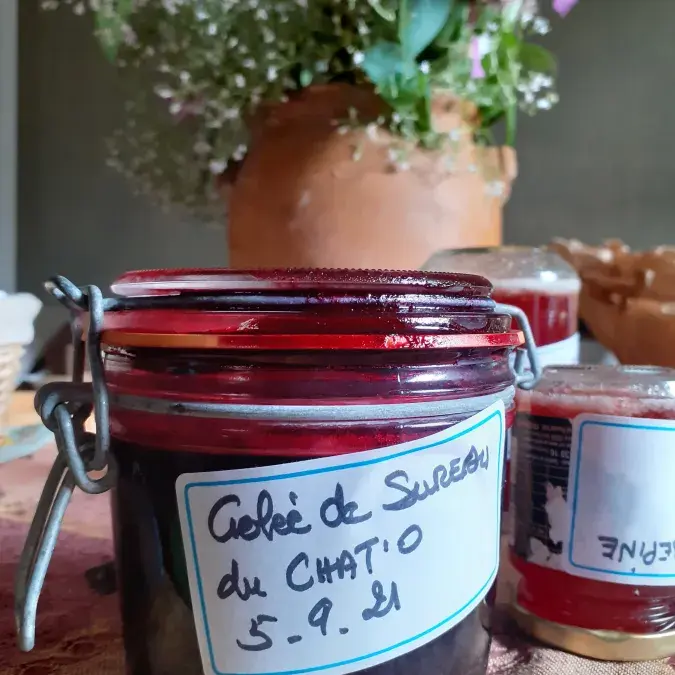 Les confitures du Chat'O