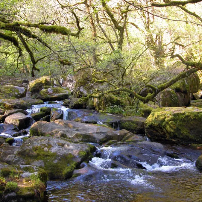La Haute Vallée de l'Agout