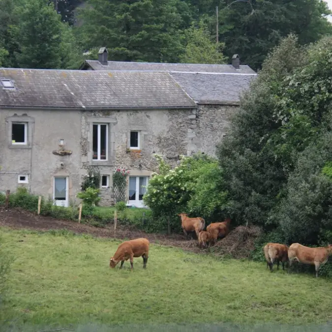 Le Chat L'Heureux-T2