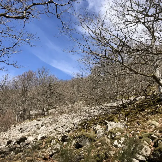 Le Sommet de Rouayras_Nages