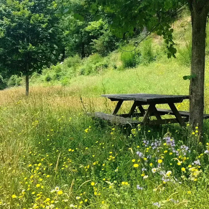 Aire de pique-nique du boulodrome_Castanet-le-Haut
