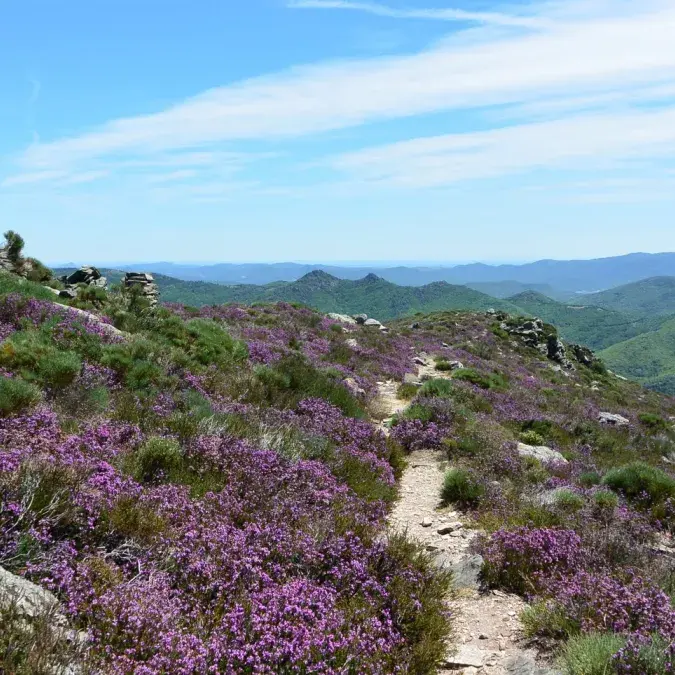 Le Portail de Roquandouire en été