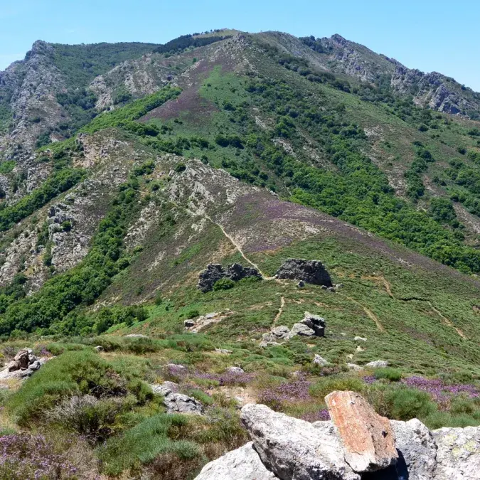 Le Portail de Roquandouire