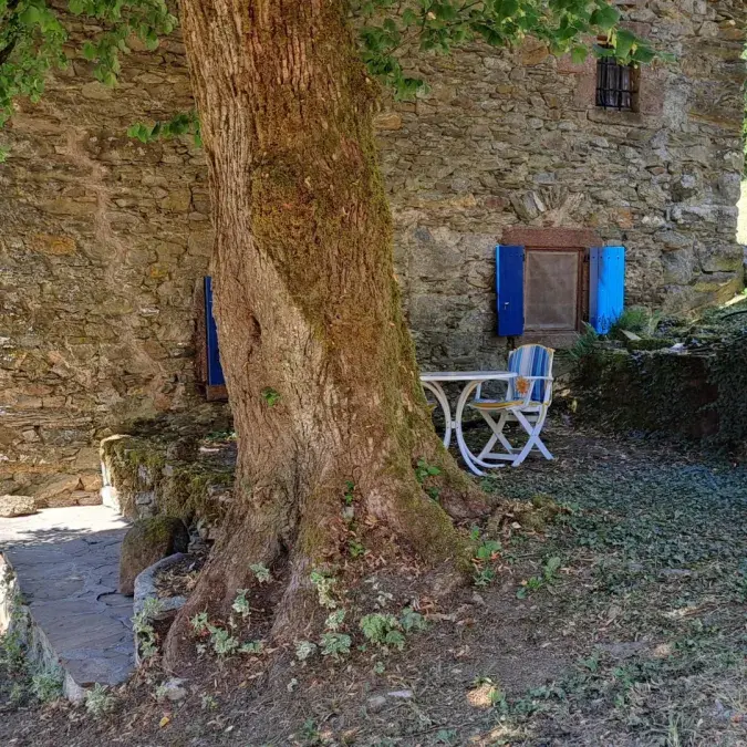 Cambert - Murat-sur-Vèbre, Tarn - G832 Gîtes de France