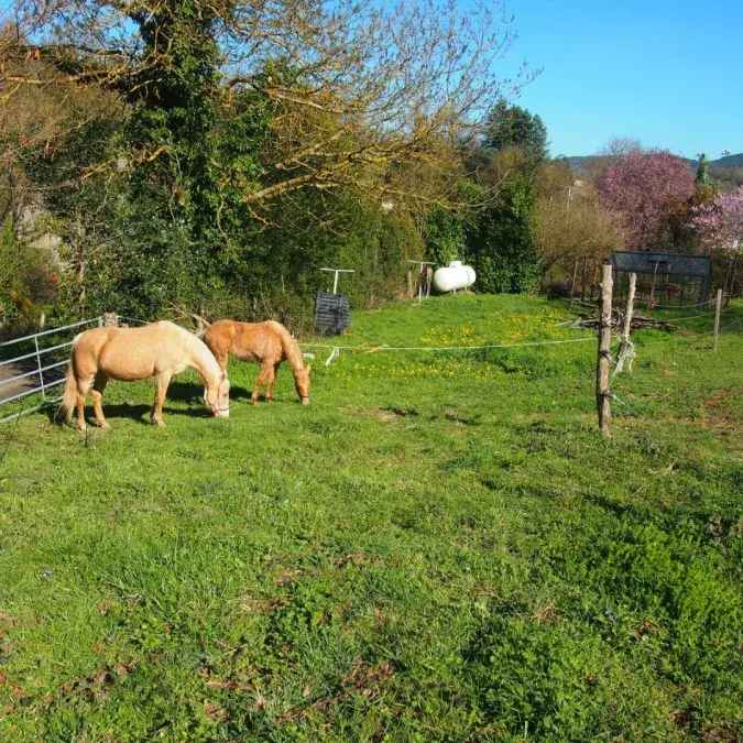 La Coccinelle de la Bessière, réf. G1813 sur Gîtes de France - Berlats, Tarn