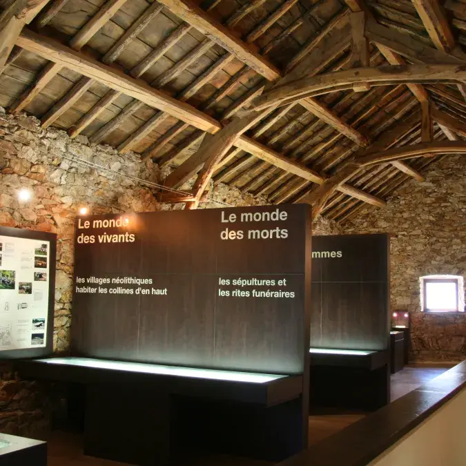 La société Néolithique