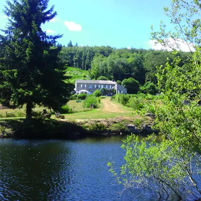 Gîte au coeur des bois
