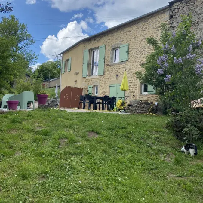 Le Chat L'Heureux-T2