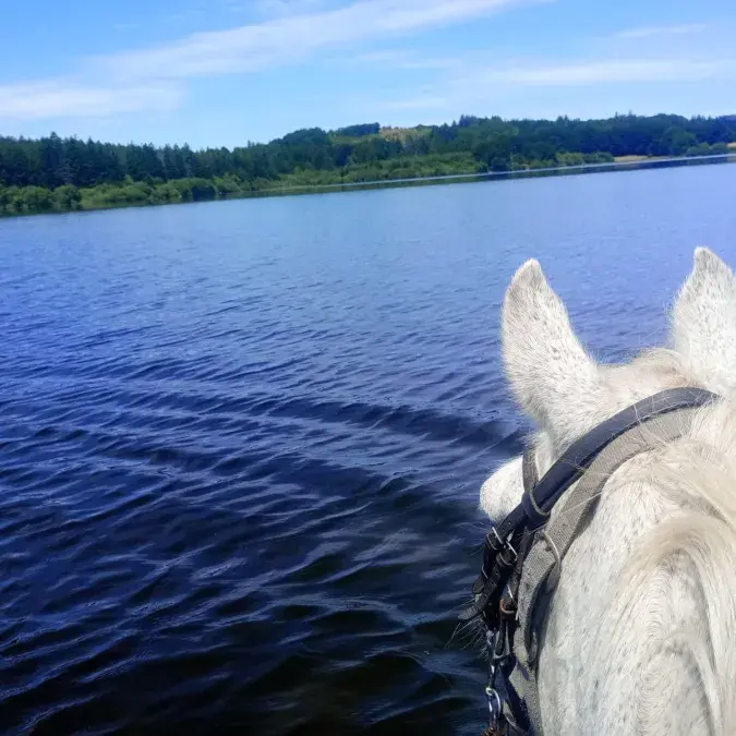 Ranch du Haut-Languedoc
