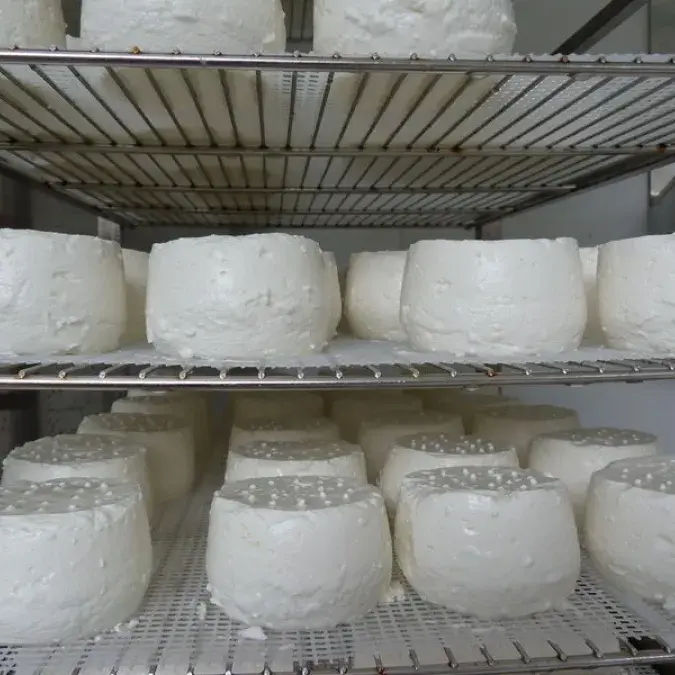 Visite commentée du GAEC de Calmels - La Jasse_Berlats