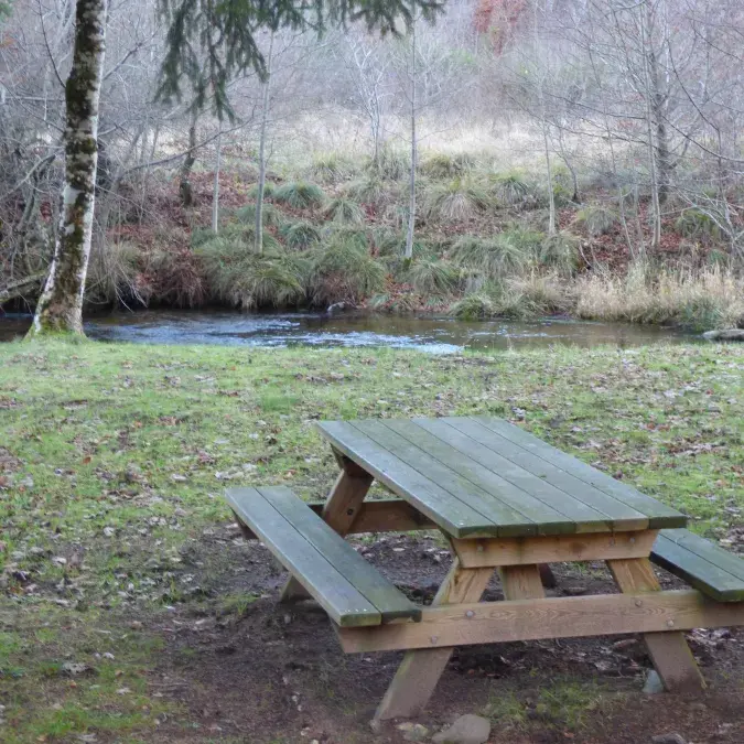 Aire de pique-nique de Saint-Pierre de l'Espinouse_Cambon-et-Salvergues