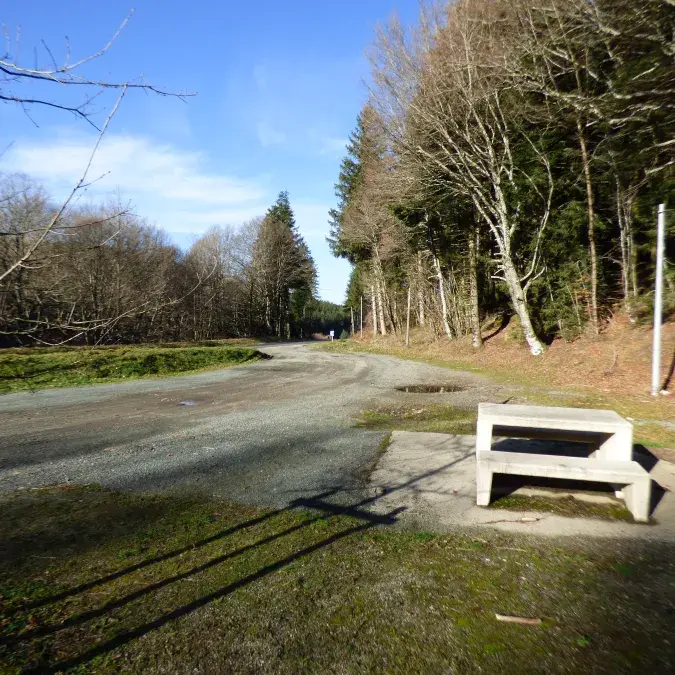 Aire de pique-nique du col de la Baraque_La Salvetat-sur-Agout