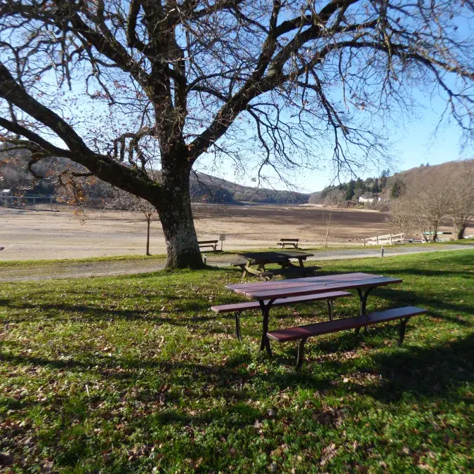Aire de pique-nique de la base de loisirs (aire de jeux)_La Salvetat-sur-Agout