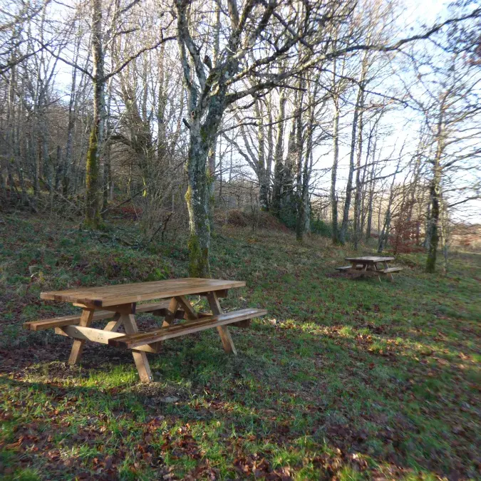 Aire de pique-nique de la vallée de l'Arn_La Salvetat-sur-Agout